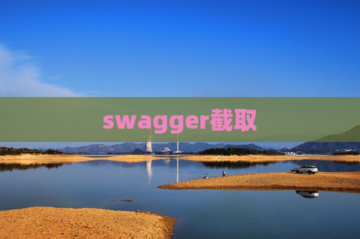swagger截取
